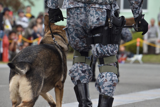 31 Best 警備犬 Images Stock Photos Vectors Adobe Stock