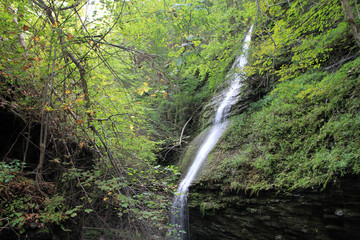 Watkins Glen national park in USA