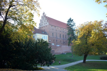 Obraz premium Zamek w Olsztynie