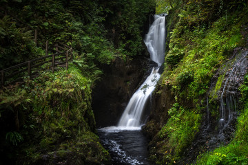 Fototapeta na wymiar Waterfall Trail Glenariff Forest Park, Northern Ireland.