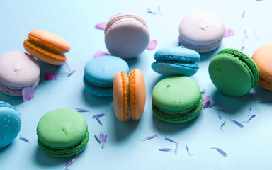 Delicious colorful cookies on a blue background