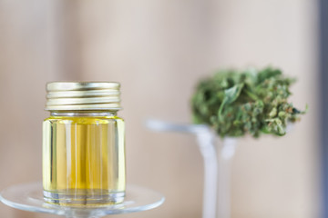marijuana medical cannabis oil cbd
