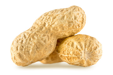 Dried two peanuts isolated on white background. Nuts macro close up. 