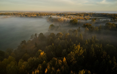 Obraz premium Fog above the forest and meadows