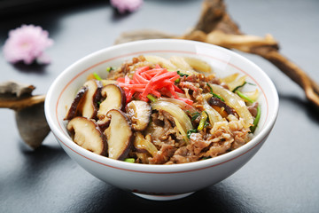 Beef rice with mushroom sauce