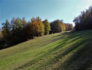 Autunnale, paesaggio, strada, cielo, foresta, natura, alberi, alberi, erba, campo, autunno, verde, azzurro, nube, stagione, annebbiare, parco, primavera, hayfield, rurale, giallo, estate, campagna, fo