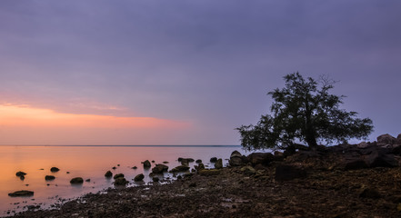 a lone tree on rock beach and explore sun light in sunset, samui island, thailand