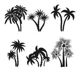 Fototapeta premium Different palm trees set silhouettes isolated on white background. Black tropical plants icons vector illustration. Rainforest jungle plants. Summer beach resort decoration
