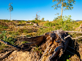Fototapeta premium tornado aftermath