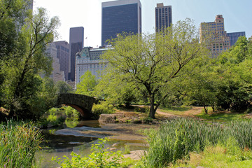 New York City summer in Central Park at the Gapstow bridge