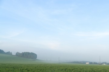 Misty morning on the meadow. Slovakia