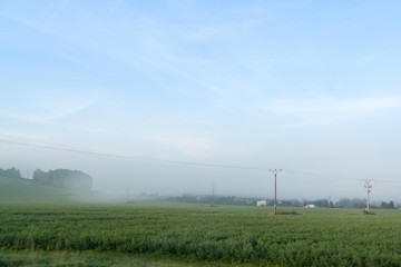 Fototapeta na wymiar Misty morning on the meadow. Slovakia