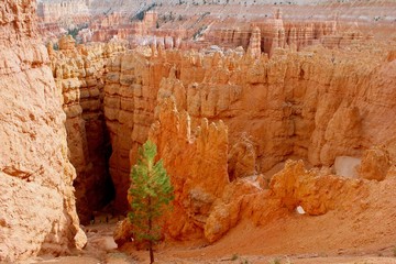 Brice Canyon, USA - July 4, 2018: Bryce Canyon National Park at sunrise