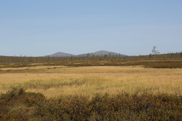 Obraz premium Moor in front of the mountain Pyhätunturi seen from the east
