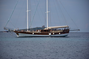 Naklejka premium Caicco
