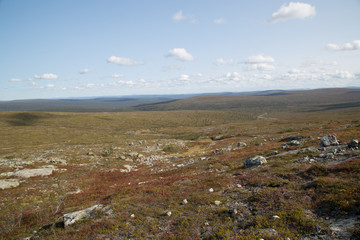 View from the Kiilopää direction east into the national park