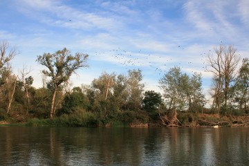 Obraz premium Rio orilla