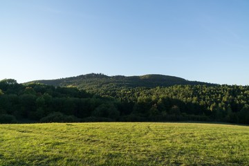 Green meadow with trees and views to mountains. Slovakia	