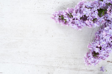 Fresh lilac flowers border over white wooden background with copy space, flat lay flower composition