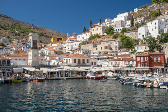 Hydra