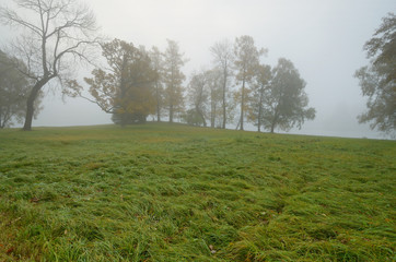 Autumn landscape in the Park.