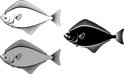 Fototapeta premium halibut