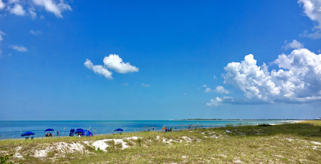 Fototapeta na wymiar Caladesi island, Florida, USA - July 27, 2018: Beach and palms in Caladesi Island in Florida