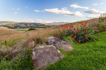  The Dargle valley in Kwa-Zulu Natal is a fertile place with many farms in the area. KZN, South...