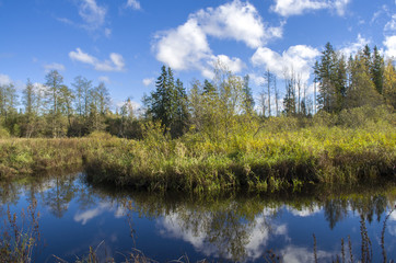blue sky with white clouds over autumn forest and river
