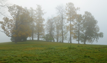 Fototapeta na wymiar Autumn landscape in the Park.