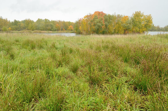 Autumn landscape in the Park.