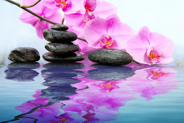 Black spa stones and pink orchids flowers with reflection in water.