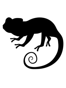 kontur silhouette schatten schwarz chamäleon leguan eidechse reptil haustier  dinosaurier waran süß niedlich klein comic cartoon clipart Stock  Illustration | Adobe Stock