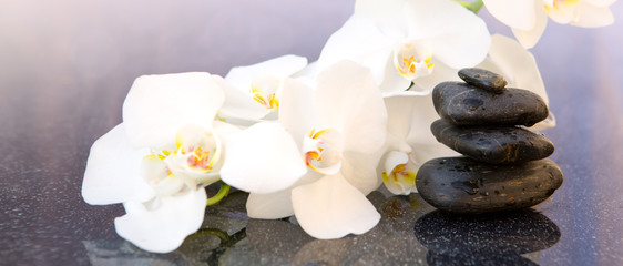 Fototapeta na wymiar White orchids flowers and spa stones . Spa background.