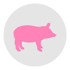 Pig. Silhouette of hog. Circle web icon on white. Hand drawn animal on isolated background