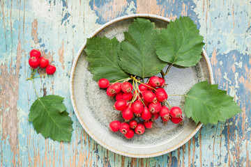 A handful of hawthorn berries with leaves on a plate on a rustic background. Top view