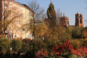 Naklejka premium Goldener Oktober in der Berliner Luisenstadt
