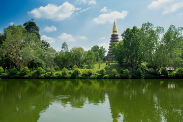 Old Ruin, Palm Tree, Rainforest, Tropical Climate, Chiang Rai Province