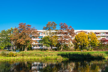 Herbstlich gefärbte Bäume mit blauen Himmel