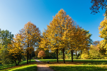 Herbstlich gefärbte Bäume mit blauen Himmel