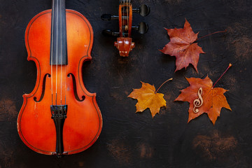Two Old violin with yellow autumn maple leave. Top view, close-up on dark vintage background