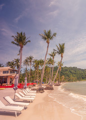 Fototapeta premium Palm tops at Phu Quoc island, Vietnam, Sao Beach retro vintage photos with sun, clouds, moderate wind almost sunset time, empty beach, almost no people, sand, umbrellas, beach plank bed