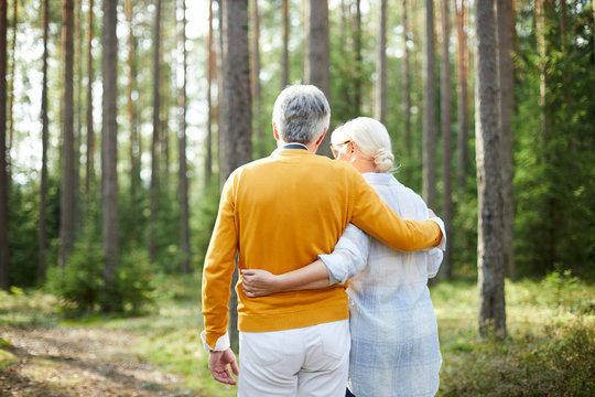 Rear view of senior casual restful couple taking walk in embrace in the forest