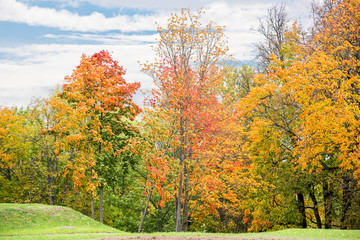 Landscape with bright autumn colored trees in the park