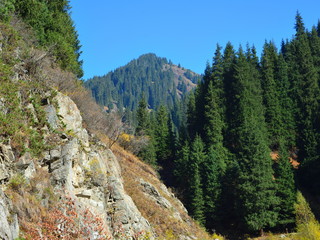 Fototapeta na wymiar Autumn landscape in Almaty mountains