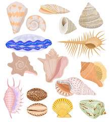 Shells vector marine seashell and ocean cockle-shell underwater illustration set of shellfish and clam-shell or conch-shell isolated on white background