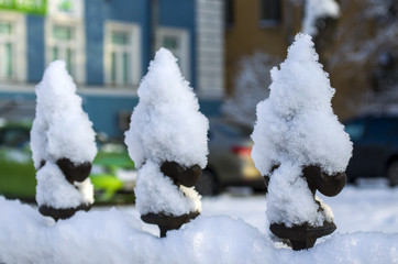 Snow on the peaks of the fence