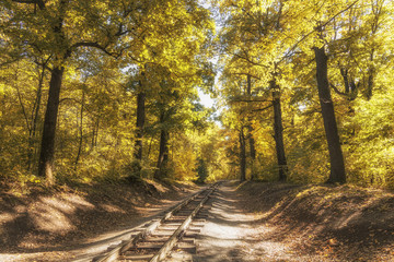 Railroad single track through the woods in autumn. Fall landscape.