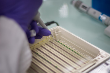 Biologie moléculaire_gel d'agarose