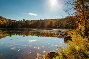 Obraz premium Mountain and colorful trees reflected in a pond on a beautiful autumn day